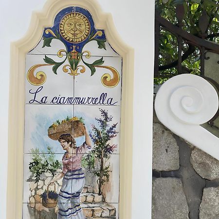 B&B La Ciammurrella Anacapri  Buitenkant foto