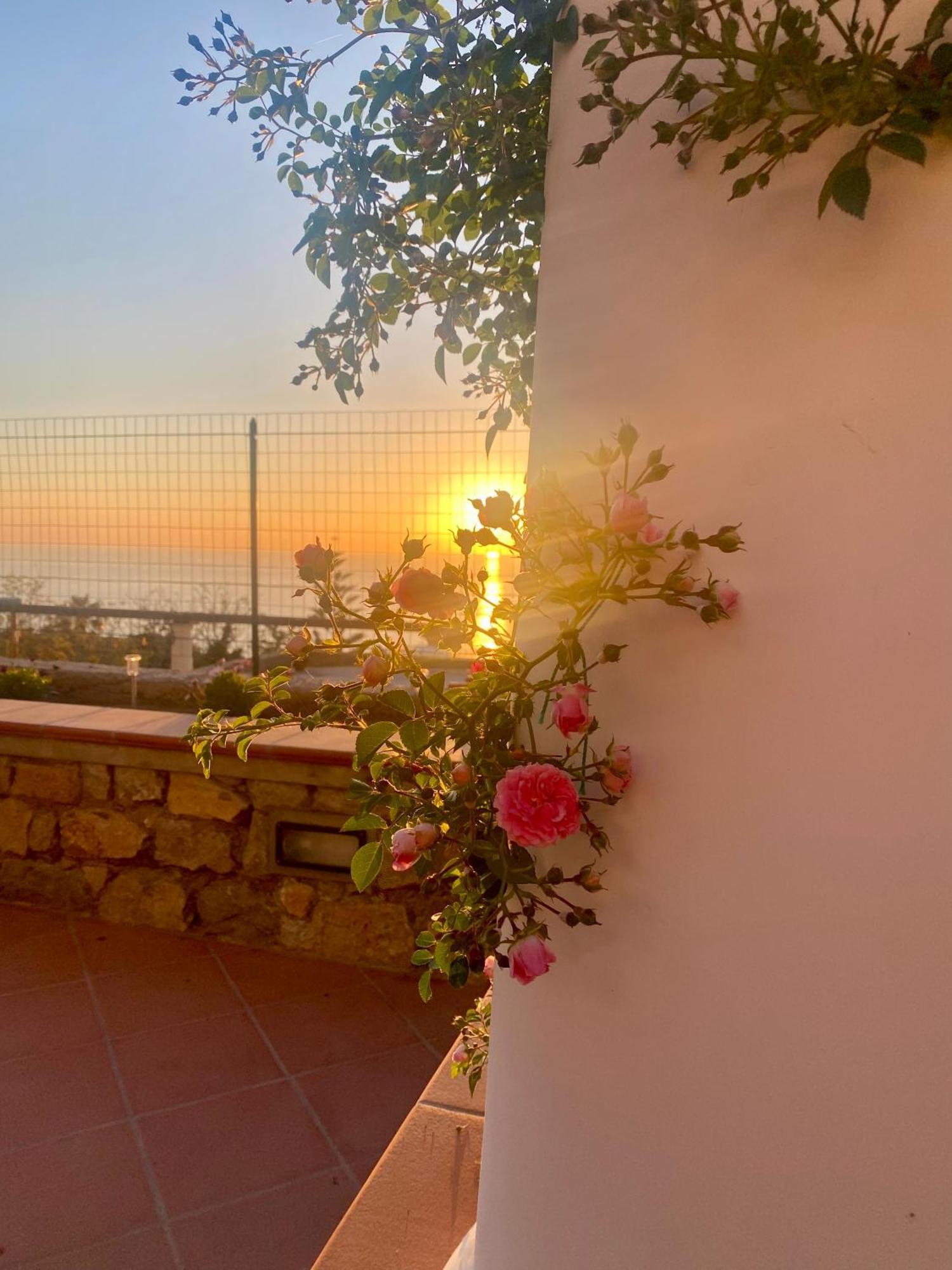 B&B La Ciammurrella Anacapri  Buitenkant foto