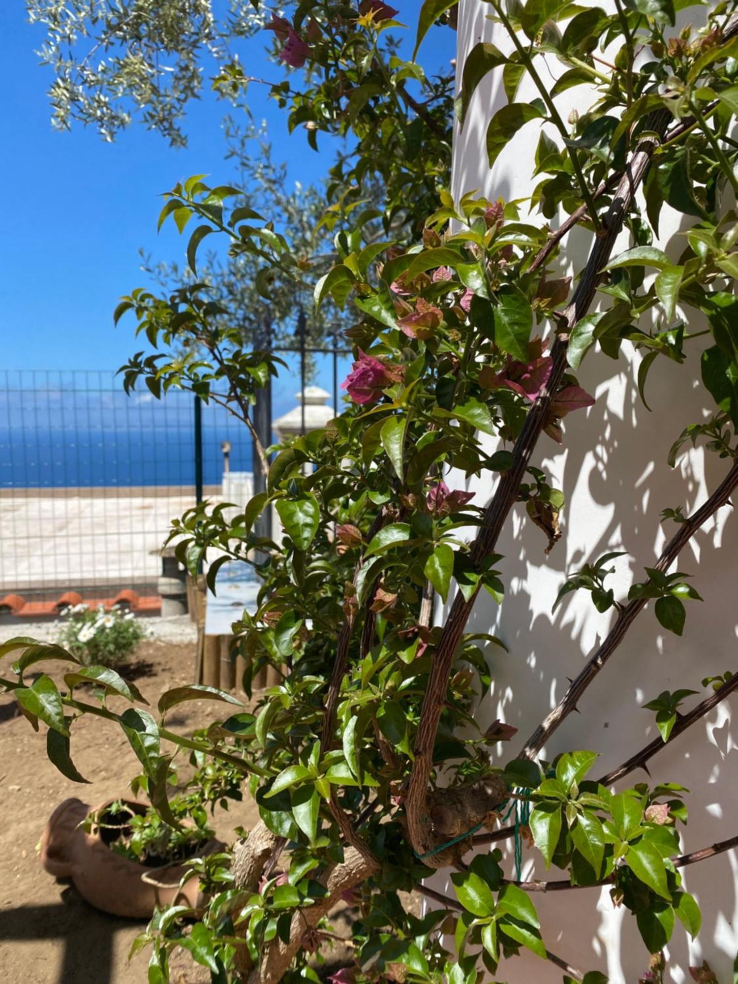 B&B La Ciammurrella Anacapri  Buitenkant foto